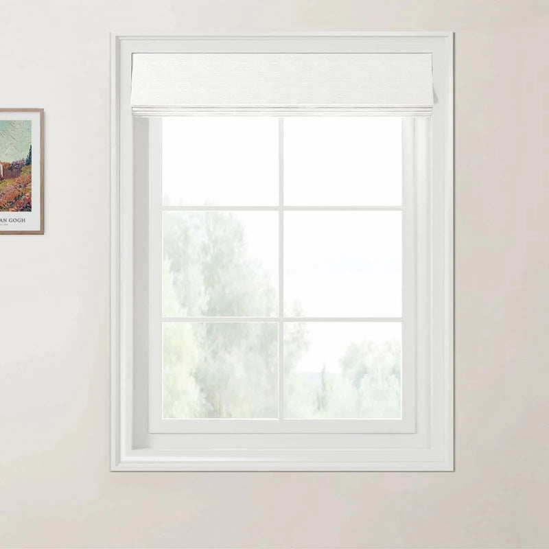 Day Night Roman Blind Cordless