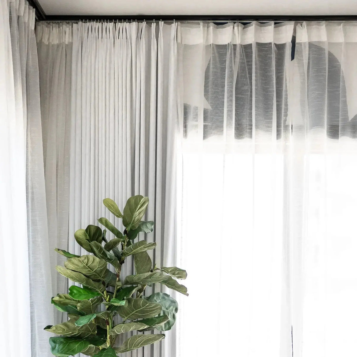 Scandina Solid Sheer Pleated Curtains