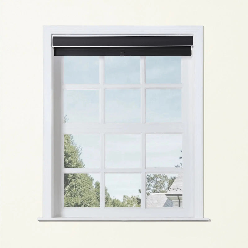 Alvin Basic Room Darkening Cordless Roller Blinds