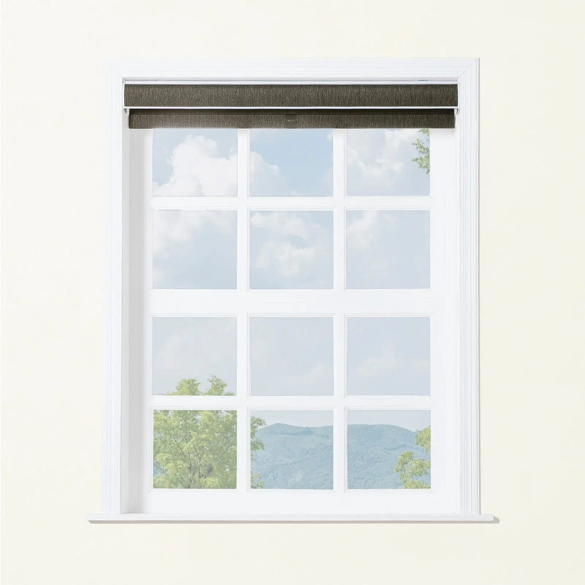Alvin Boutique Room Darkening Cordless Roller Blinds