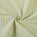 Celia Striped Plaid Curtains