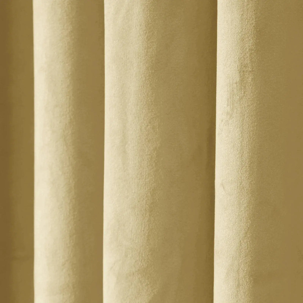 Birkin Velvet Pleated Curtains