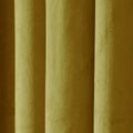 Birkin Velvet Pleated Curtains