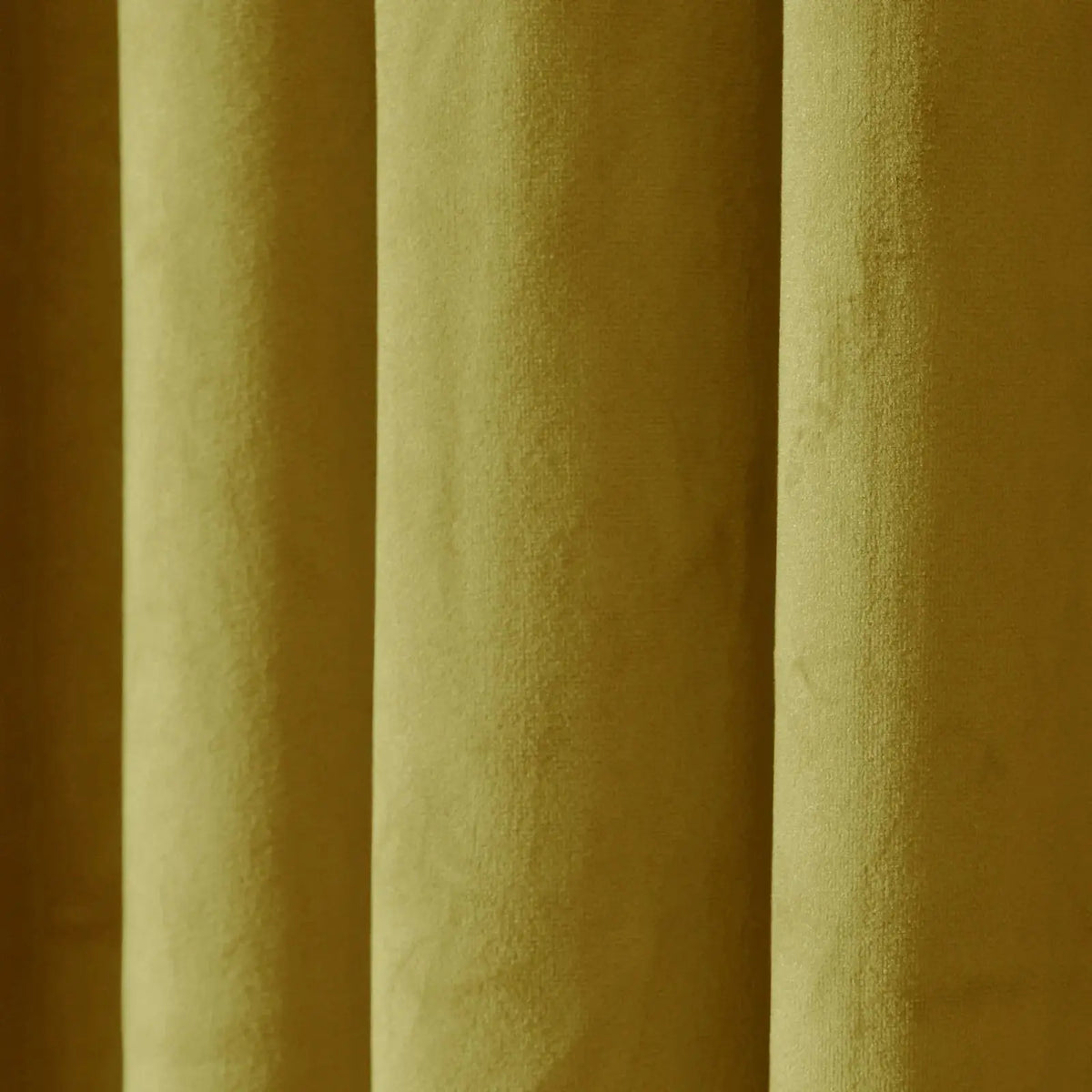 Birkin Velvet Pleated Curtains