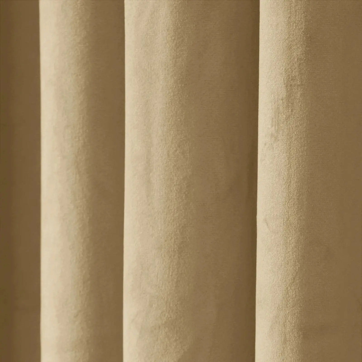 Birkin Velvet Curtain Pleated -TWOPAGES