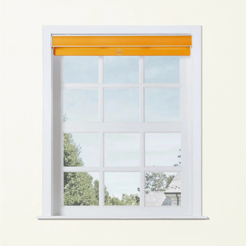 Alvin Basic Room Darkening Cordless Roller Blinds