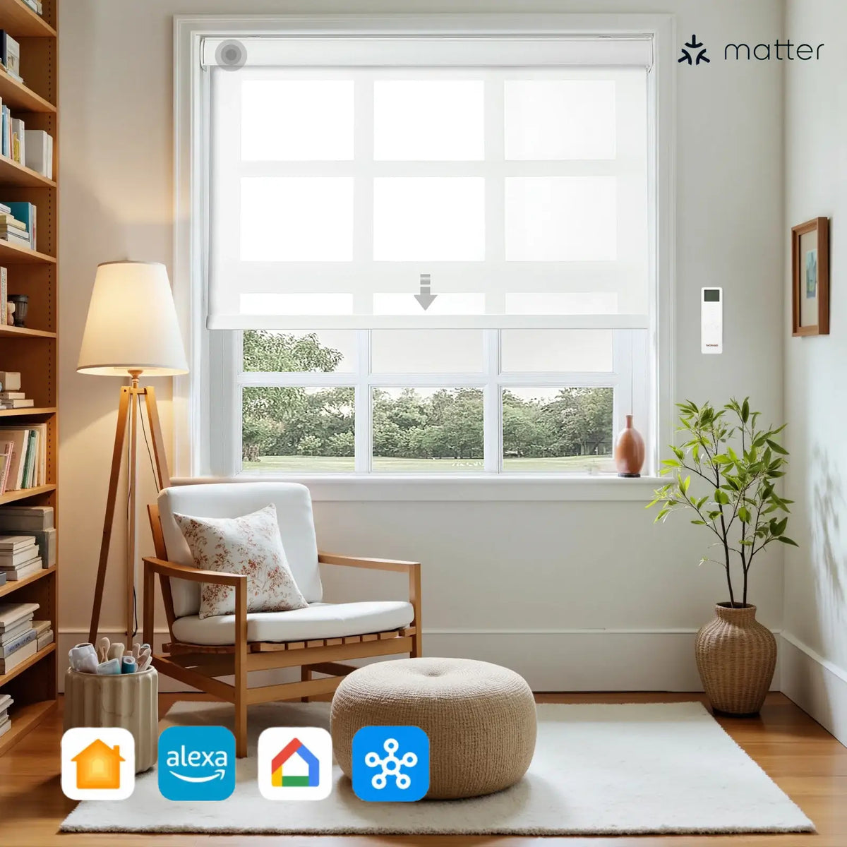 Alvin Motorised Sheer Light Filtering Roller Blinds