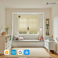 Smart Motorised Window Woven Bamboo Blinds