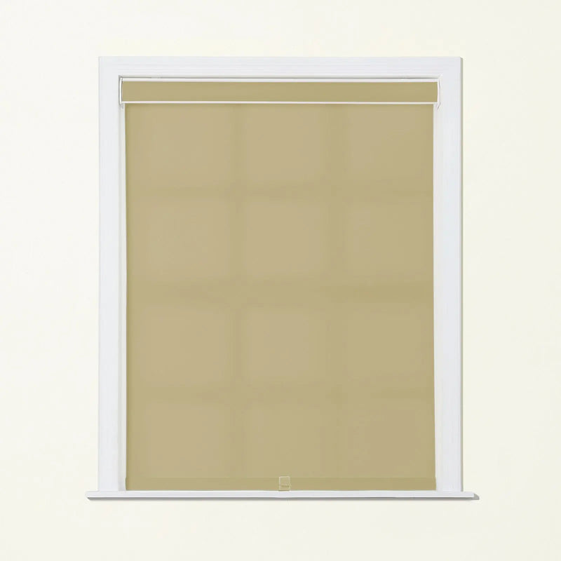Alvin Basic Room Darkening Cordless Roller Blinds