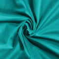 Birkin Velvet Pleated Curtains