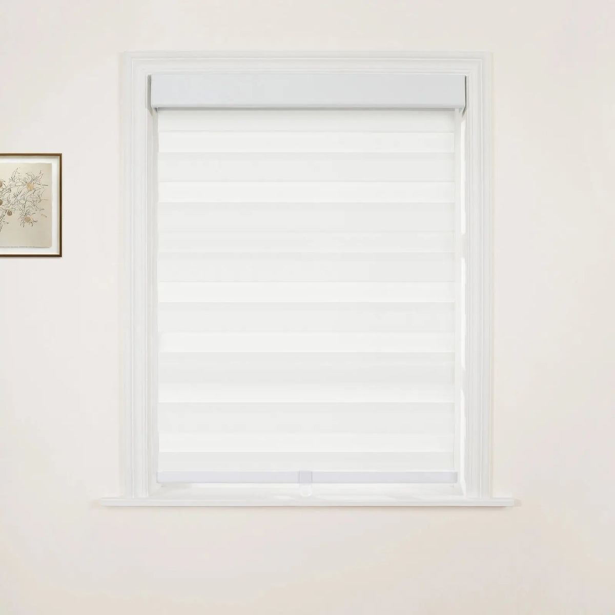 Brio Light Filtering Zebra Blind Cordless