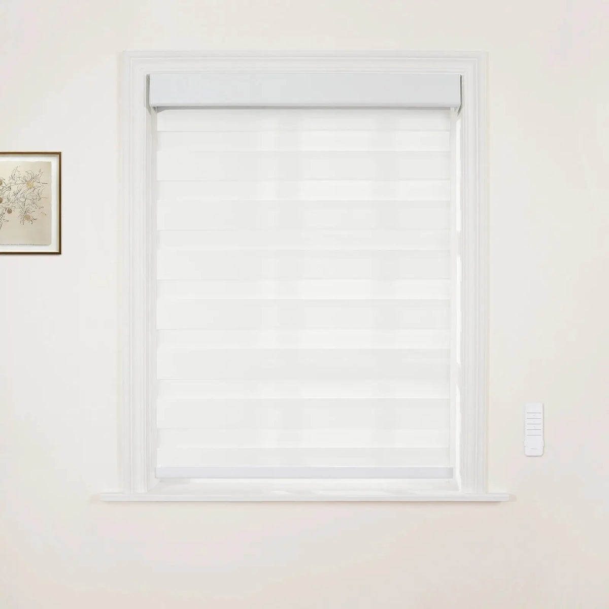Brio Smart Motorised Light Filtering Zebra Blind Cordless