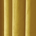 Birkin Velvet Pleated Curtains