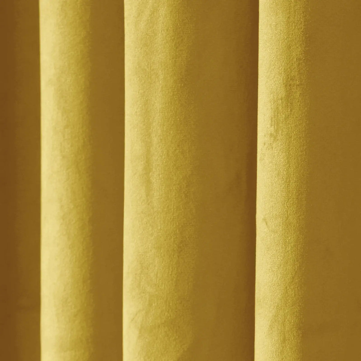 Birkin Velvet Pleated Curtains
