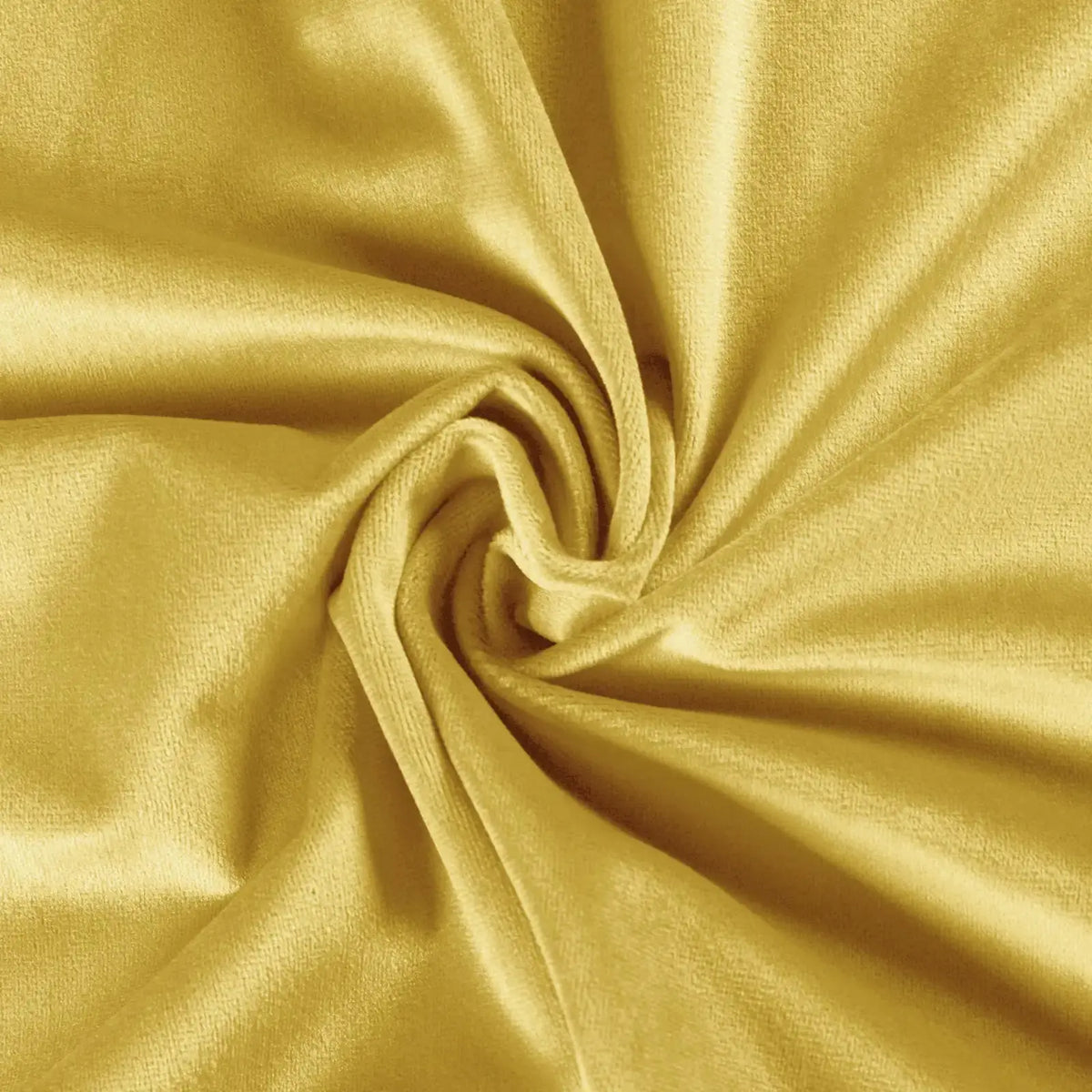 Birkin Velvet Pleated Curtains